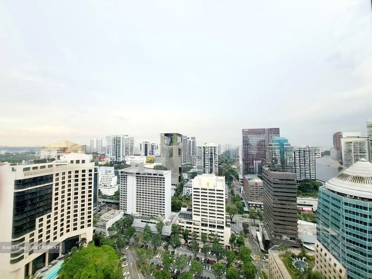 3 Cuscaden (D10), Apartment #592392841